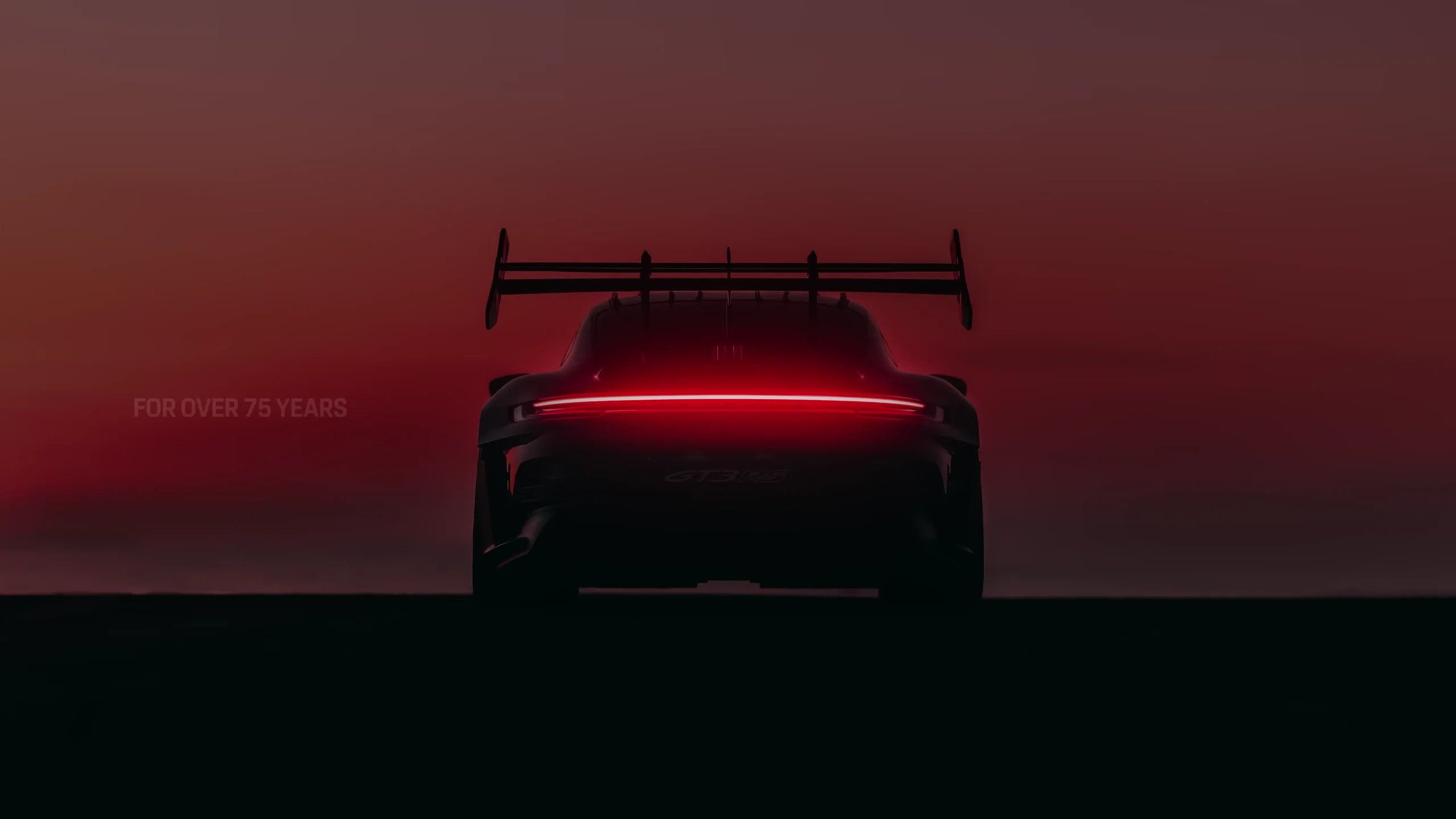 911 GT3 RS 尾翼